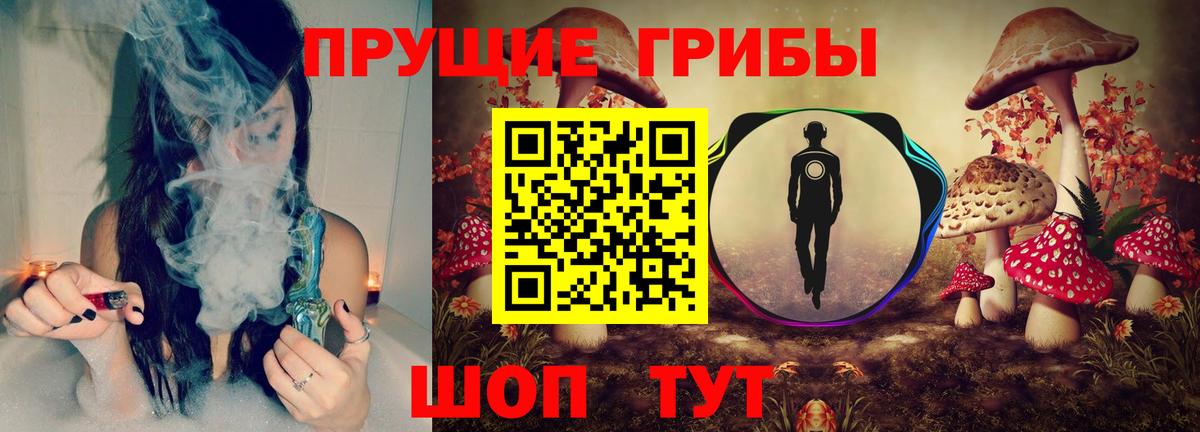 Кирово-Чепецк  Псилоцибиновые грибы Psilocybine cubensis  Вход с VPN 